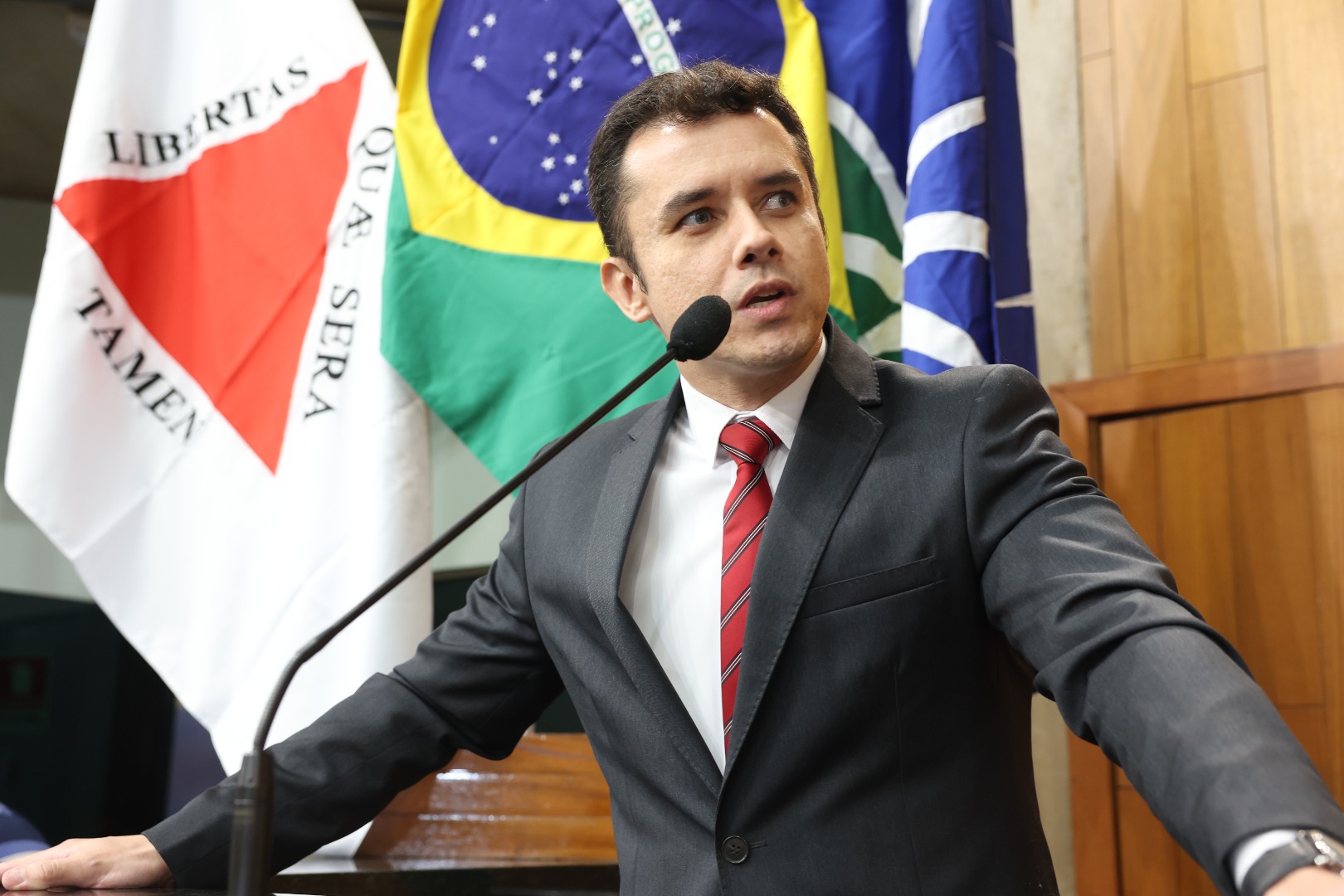 foto Aline Rezende 0014.JPG