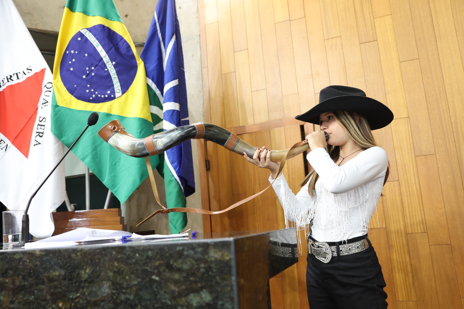 foto Aline Rezende 0064.jpg