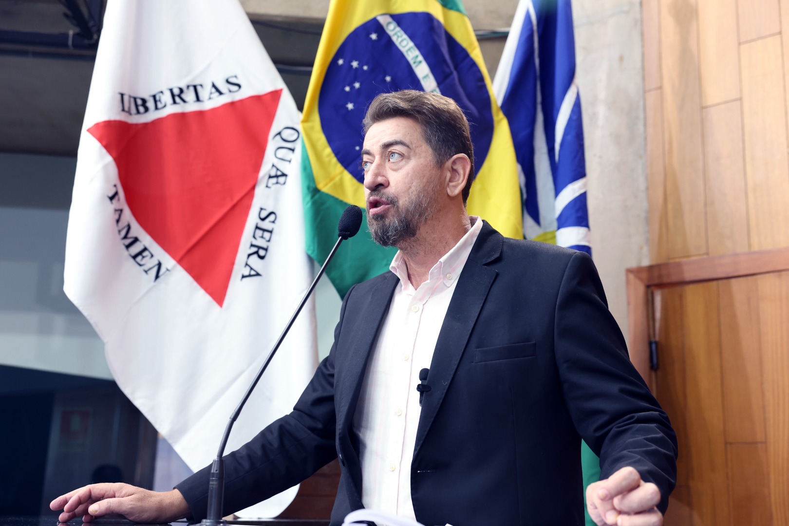 foto Aline Rezende 0023.JPG