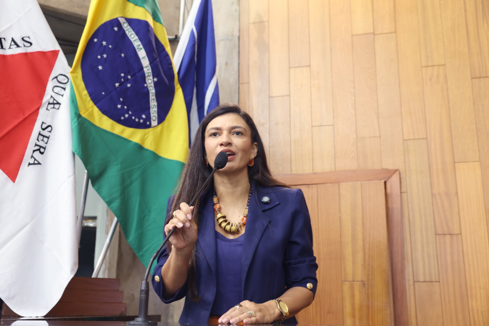 foto Aline Rezende 0060.JPG