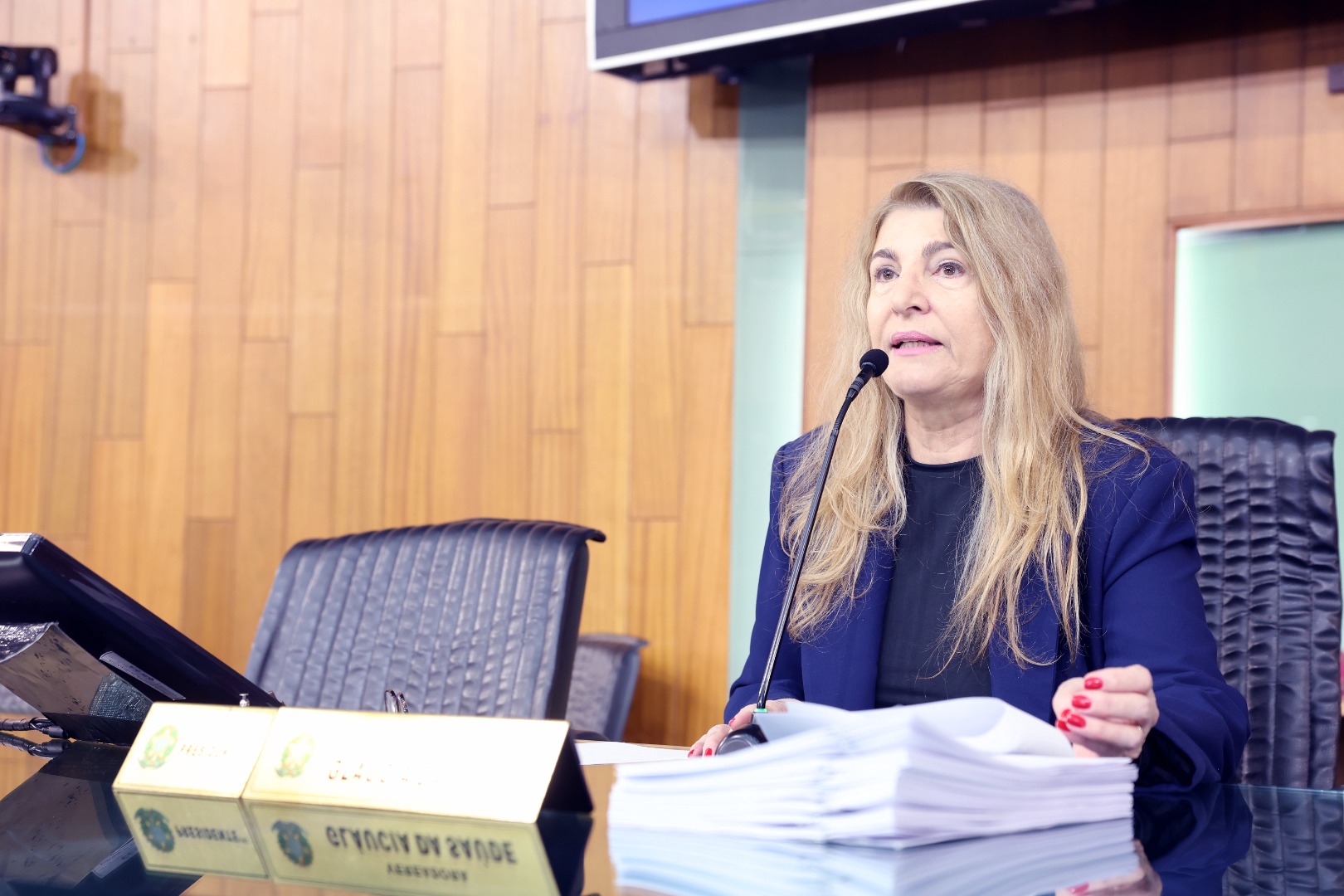 foto Aline Rezende 0002.JPG