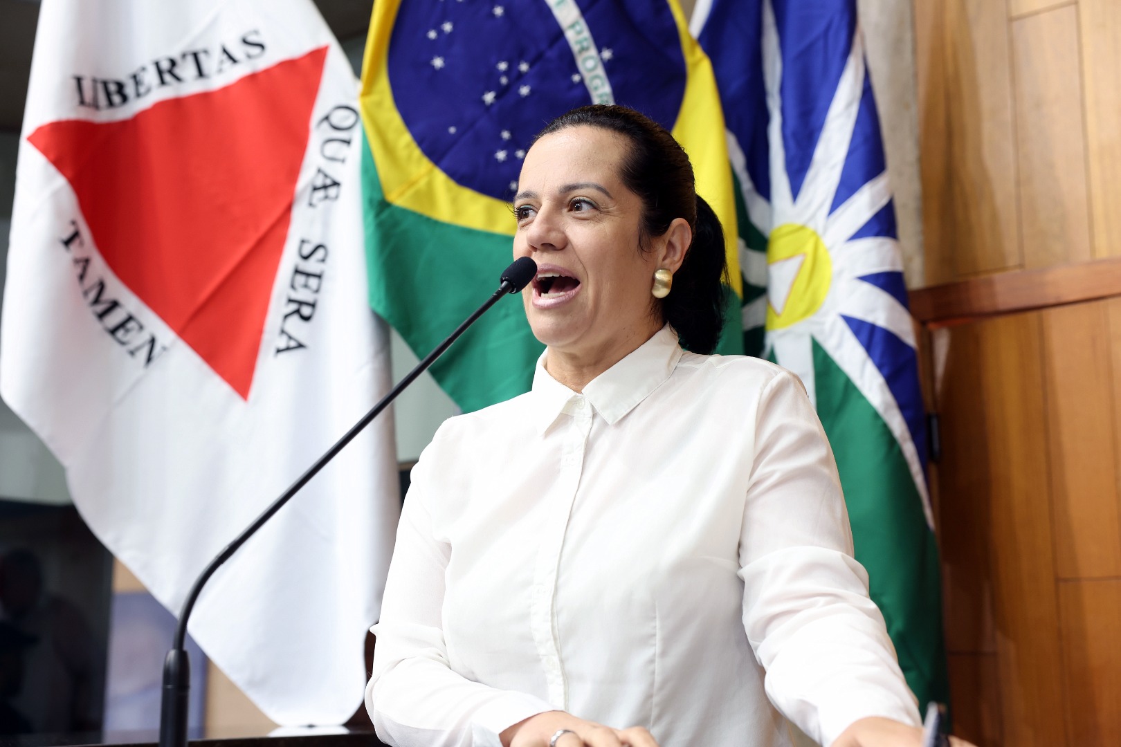 foto Aline Rezende 0019.JPG