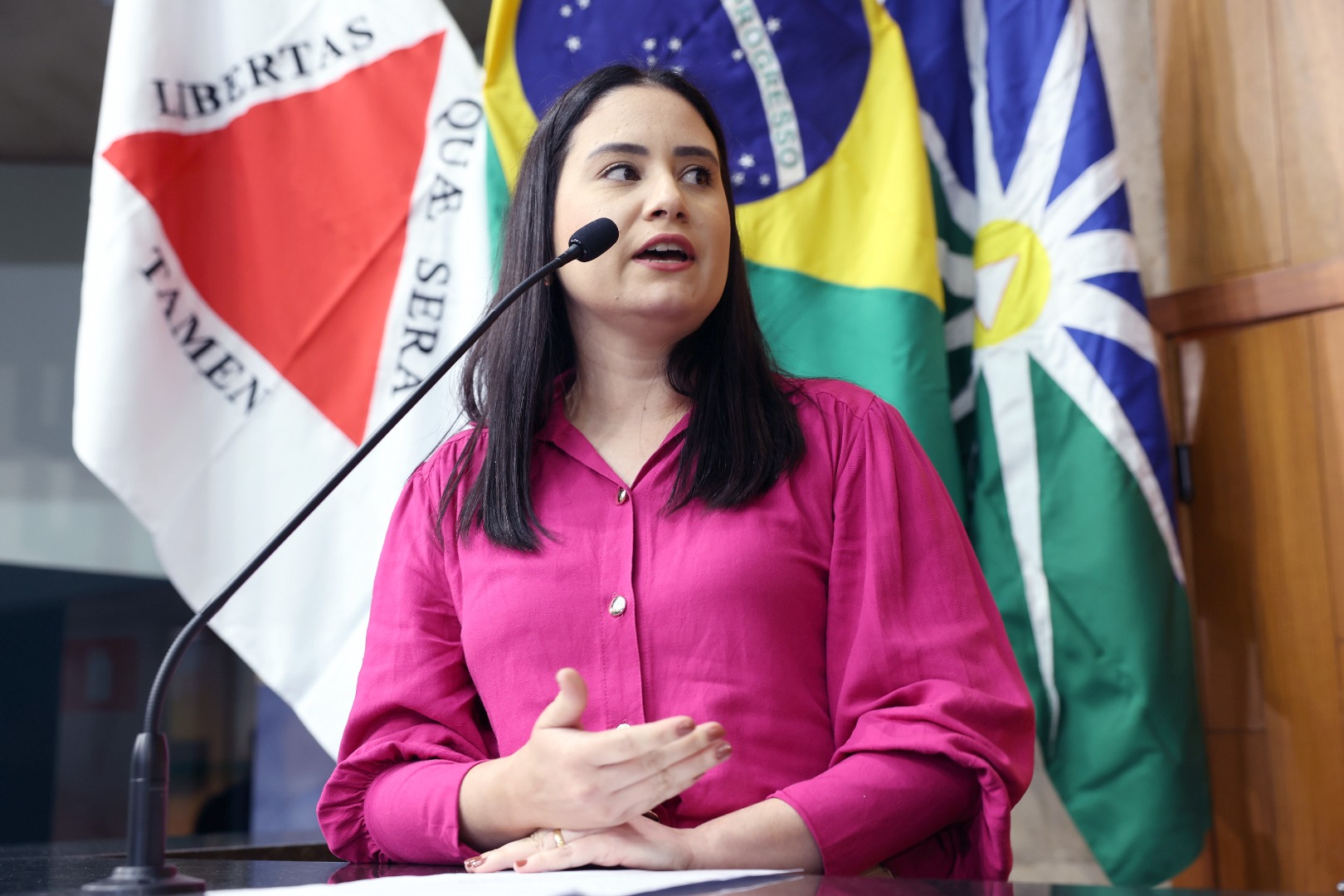 foto Aline Rezende 0007.JPG