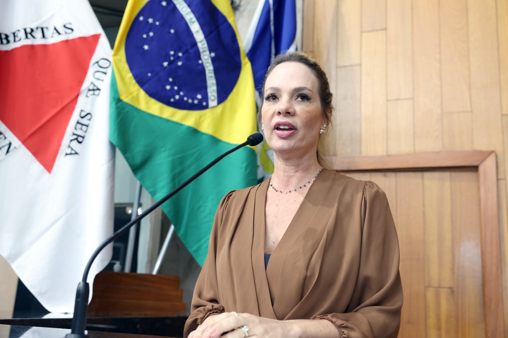 foto Aline Rezende 0004.JPG