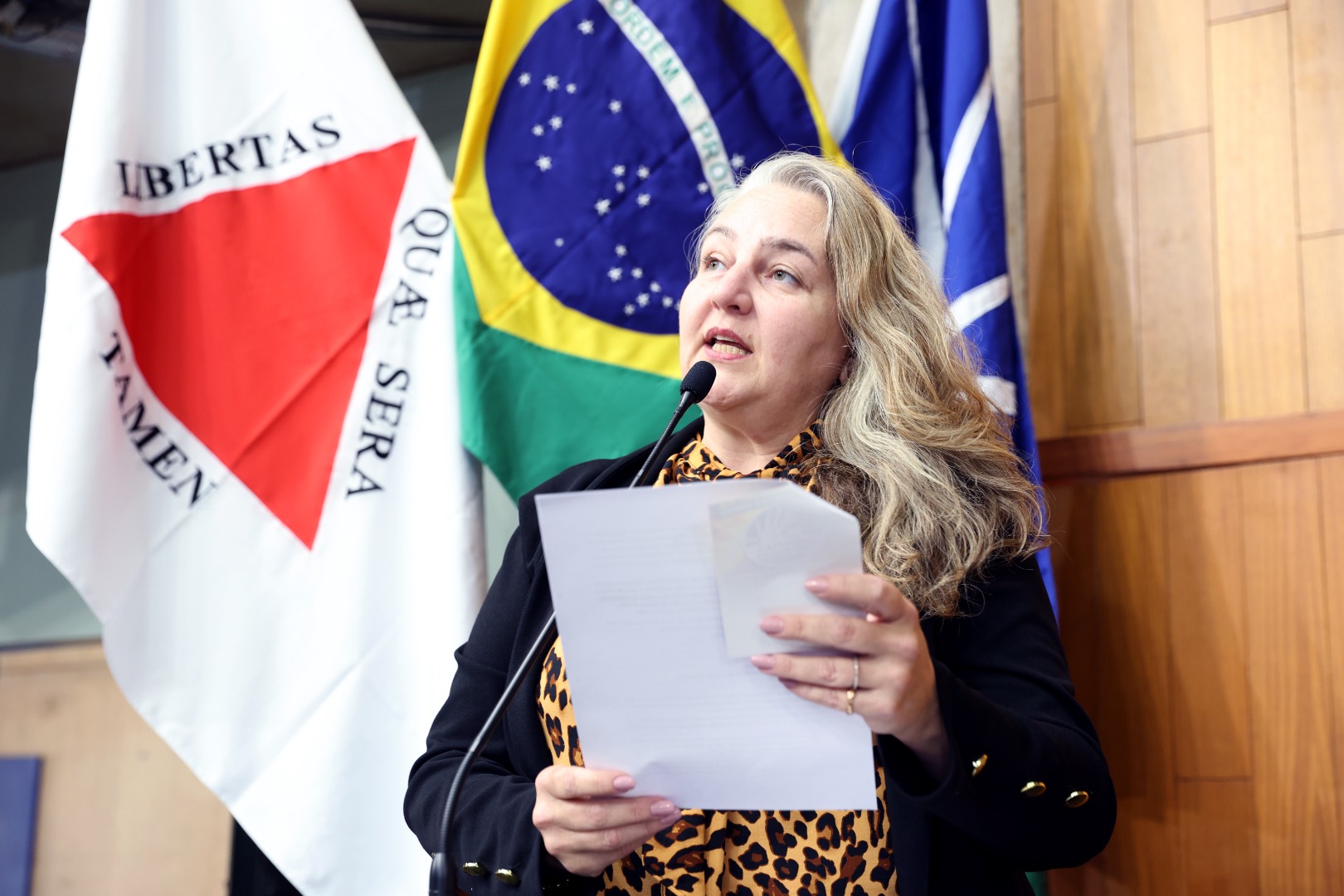 foto Aline Rezende 0011.JPG