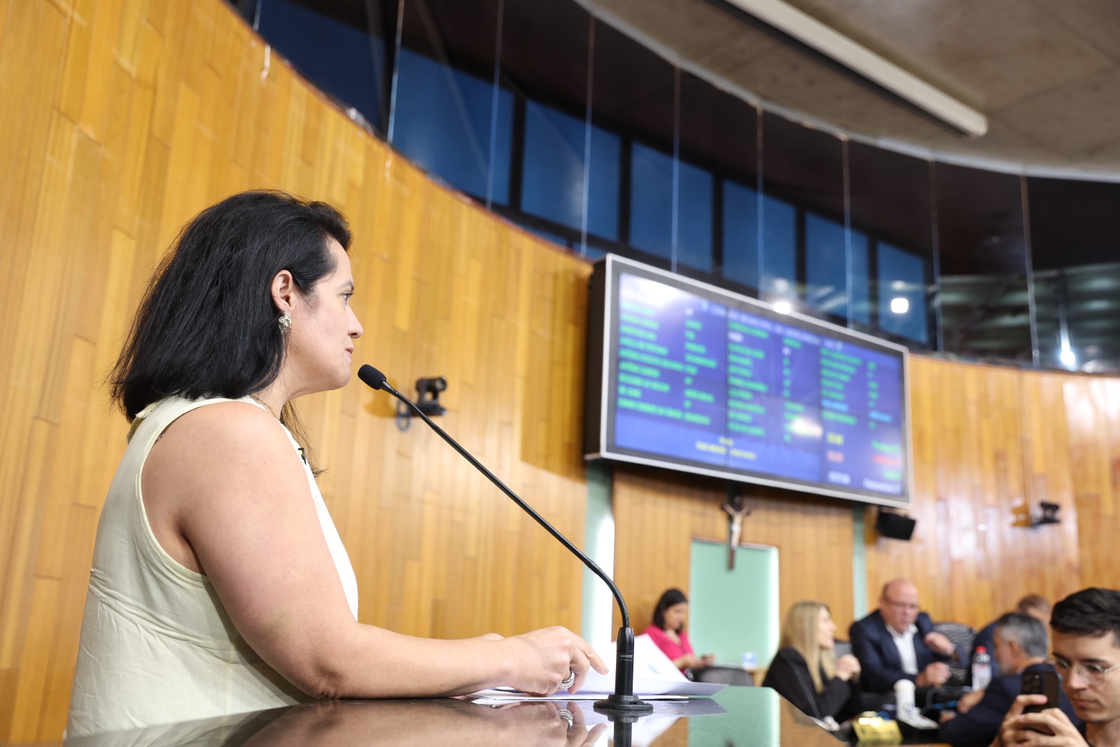 foto Aline Rezende 0036.JPG