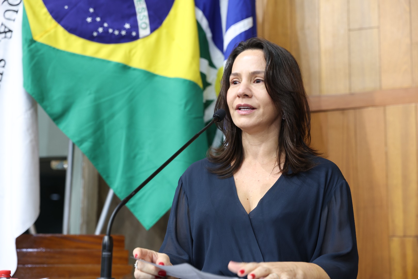 foto Aline Rezende 0037.JPG