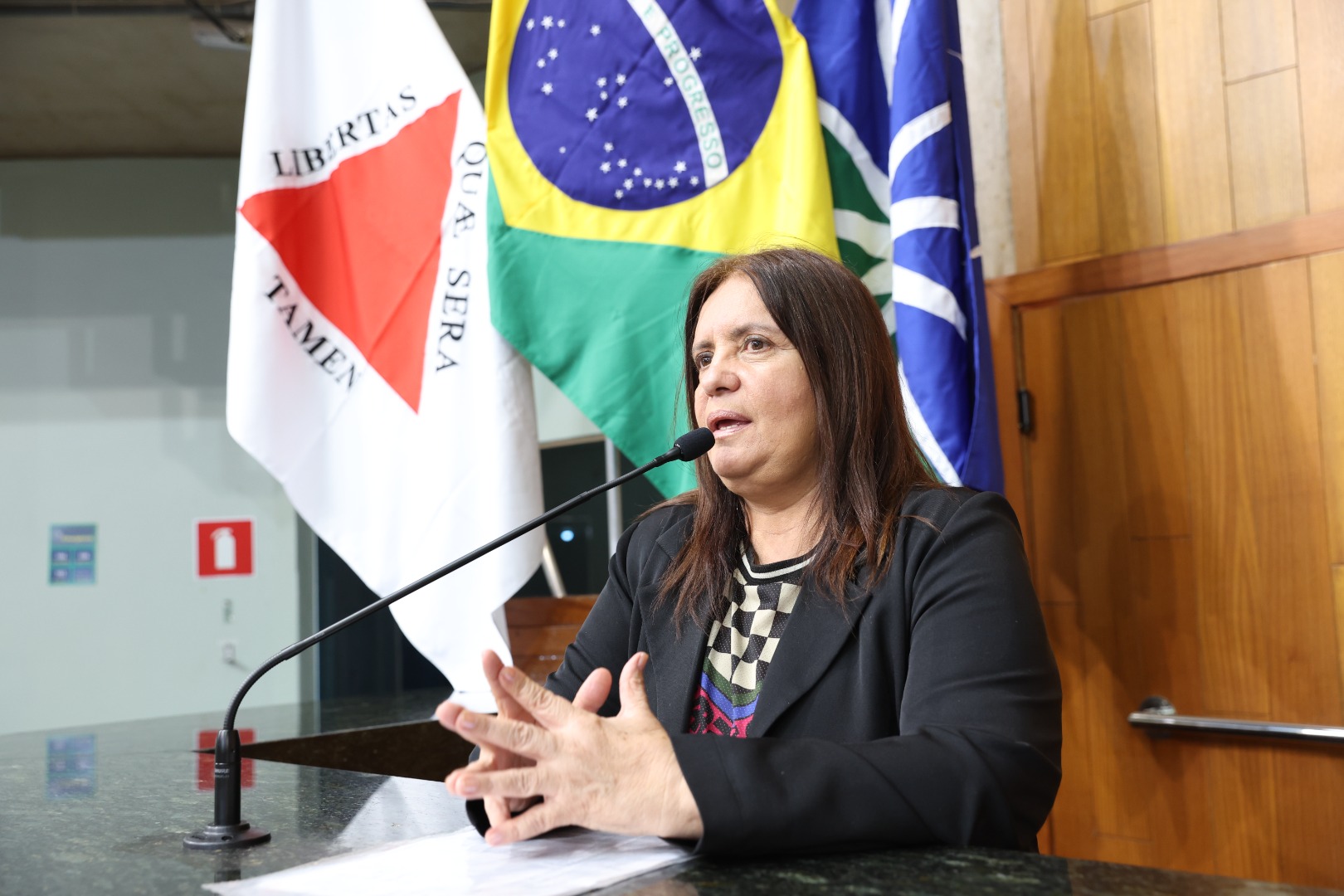 foto Aline Rezende 0012.JPG