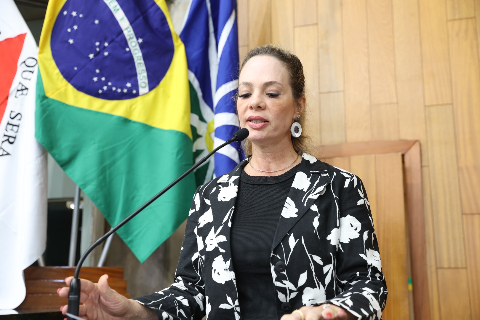 foto Aline Rezende 0002.JPG