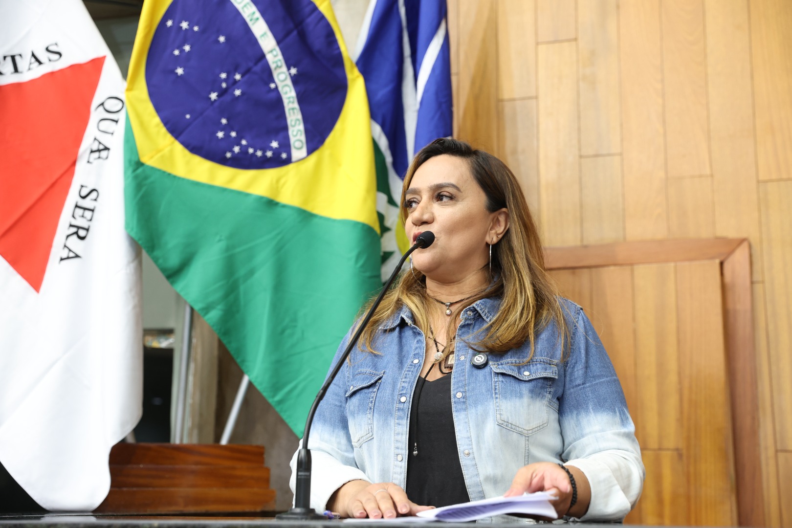 foto Aline Rezende 0040.JPG