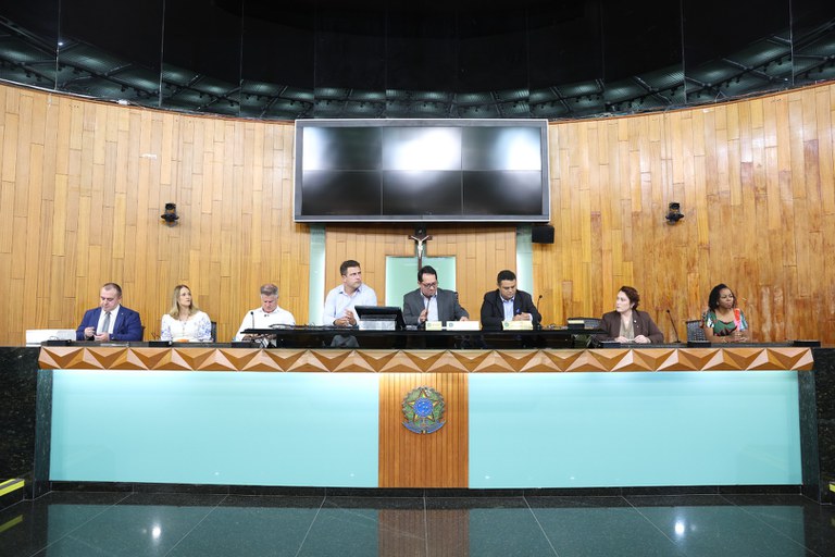 foto Aline Rezende 0004.JPG