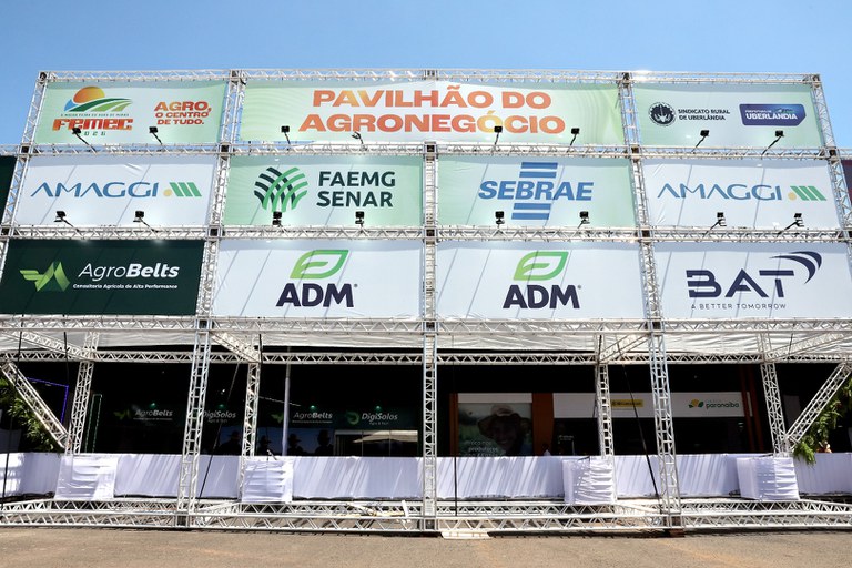 foto Aline Rezende 0063.jpg