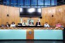  foto Aline Rezende 0005.JPG 