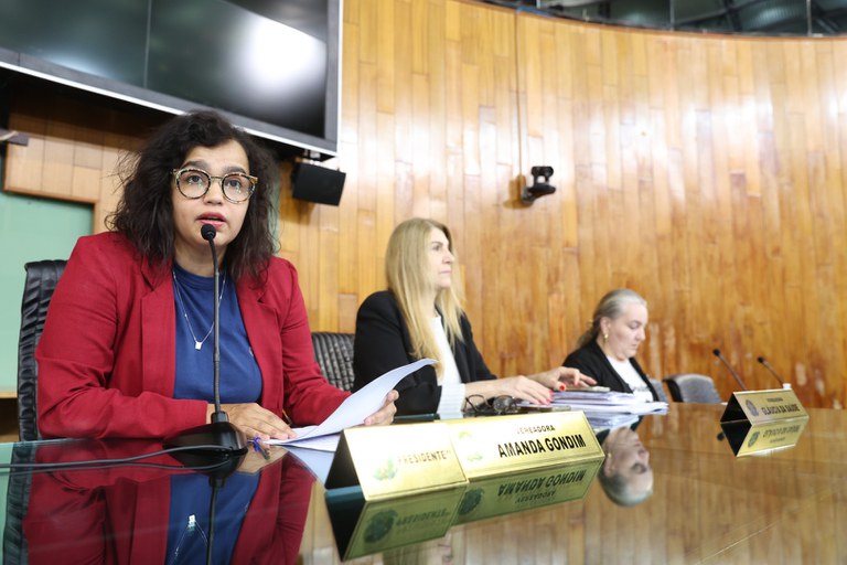 foto Aline Rezende 0001.JPG