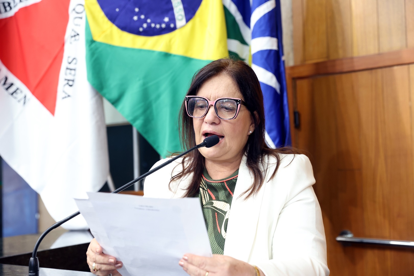 foto Aline Rezende 0010.JPG