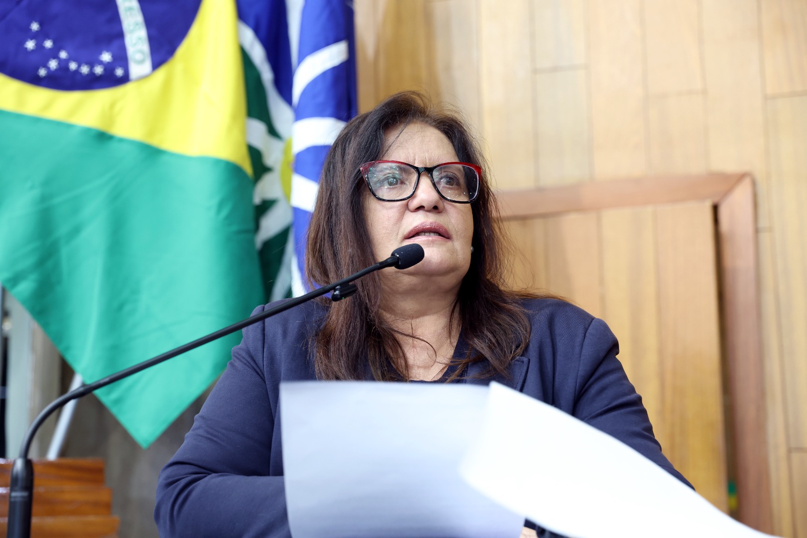 foto Aline Rezende 0005.JPG