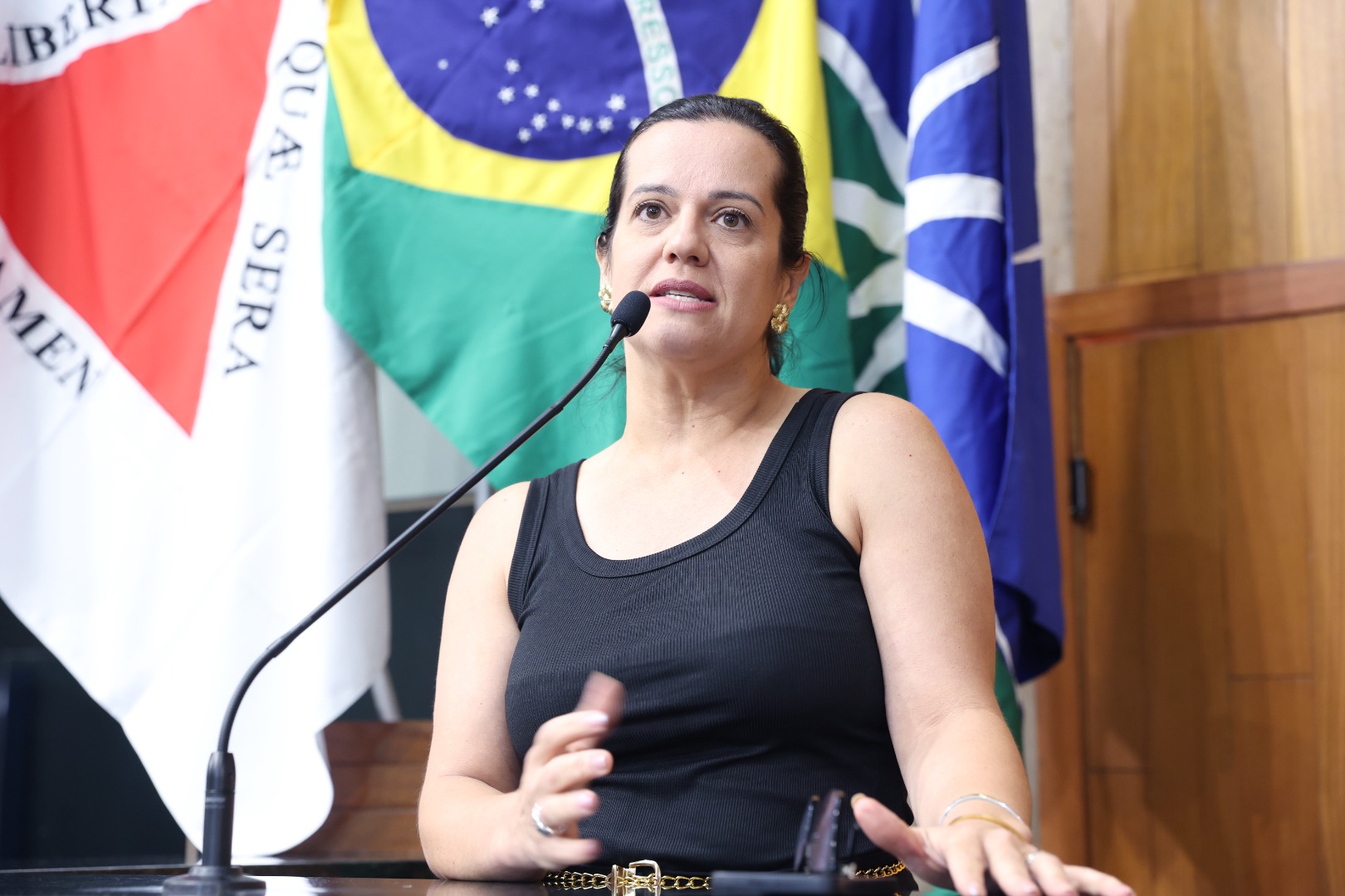 foto Aline Rezende 0040.JPG