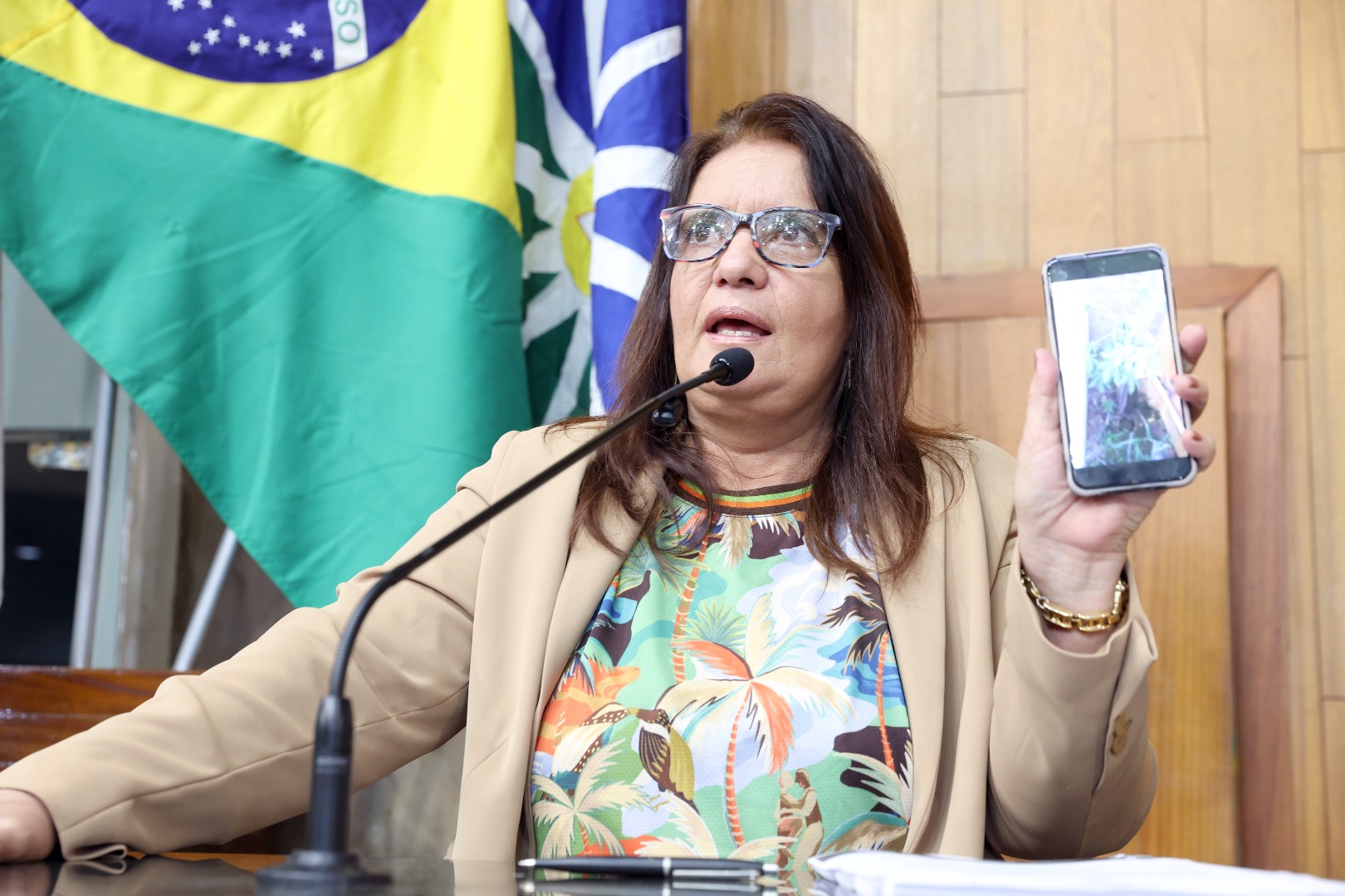 foto Aline Rezende 0018.JPG