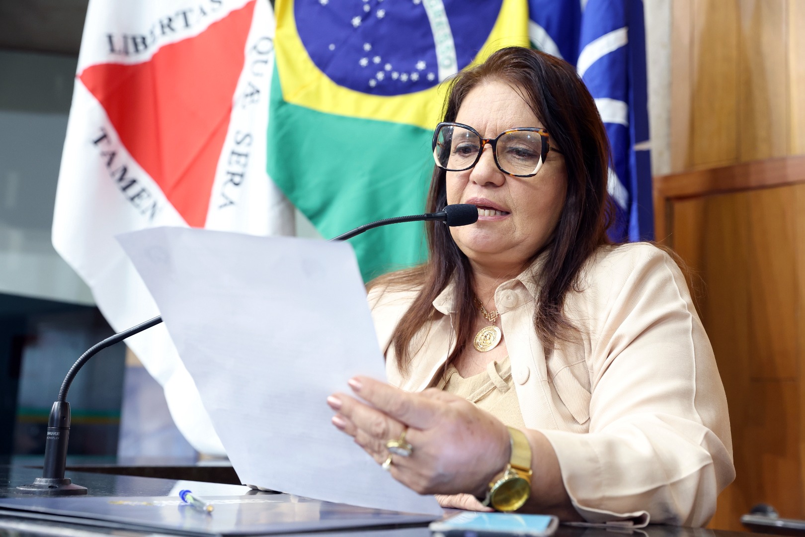 foto Aline Rezende 0013.JPG