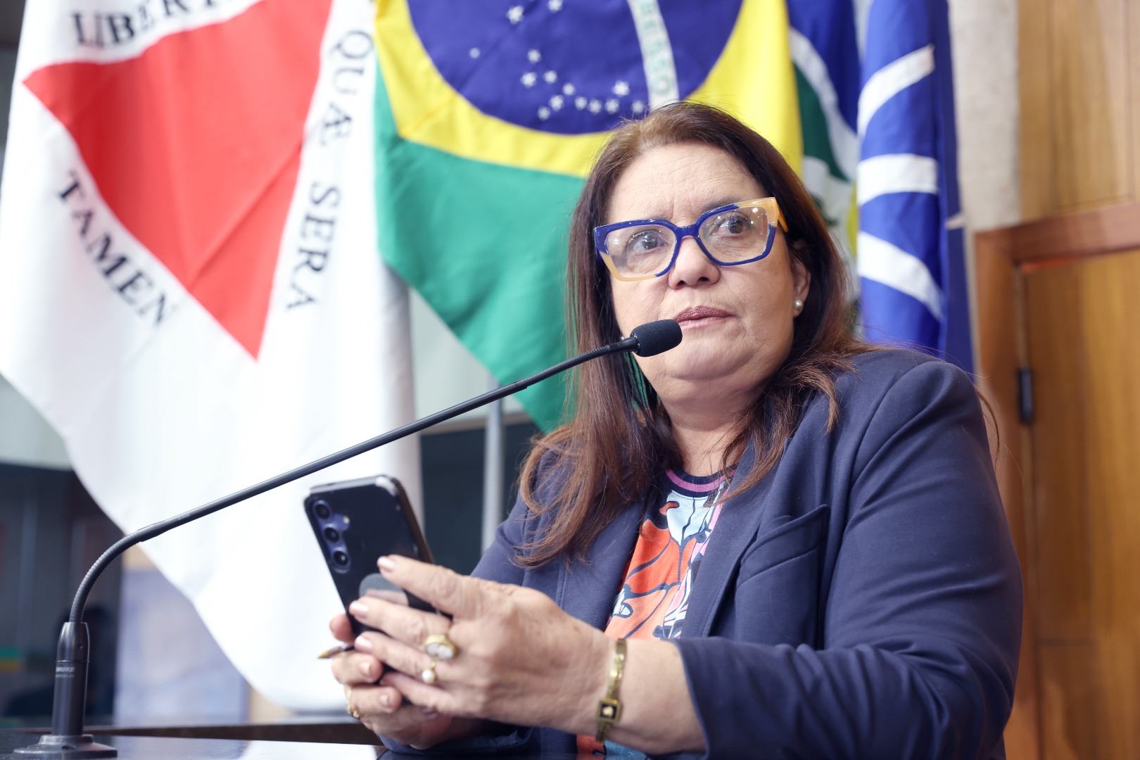 foto Aline Rezende 0012.JPG