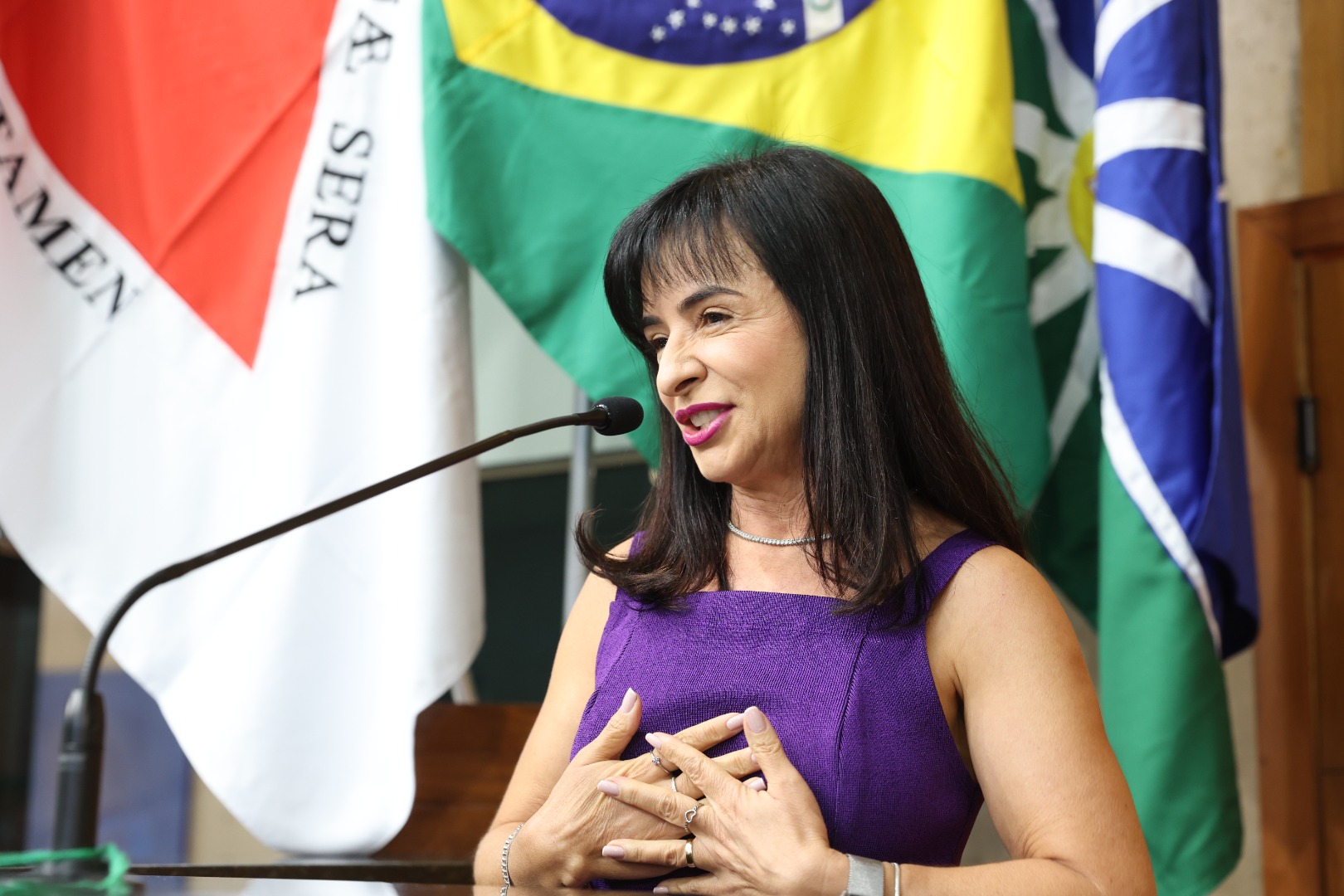 foto Aline Rezende 0023.JPG