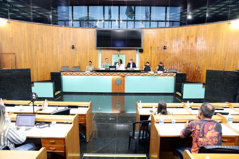 foto Aline Rezende 0001.JPG