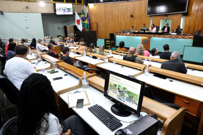 foto Aline Rezende 0019.JPG