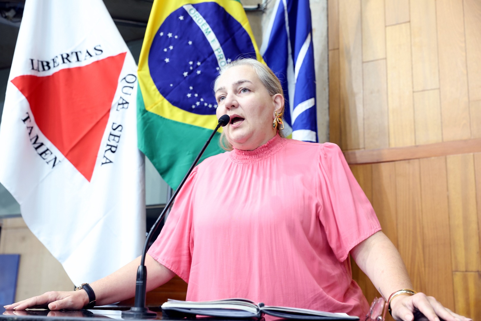 foto Aline Rezende 0025.JPG