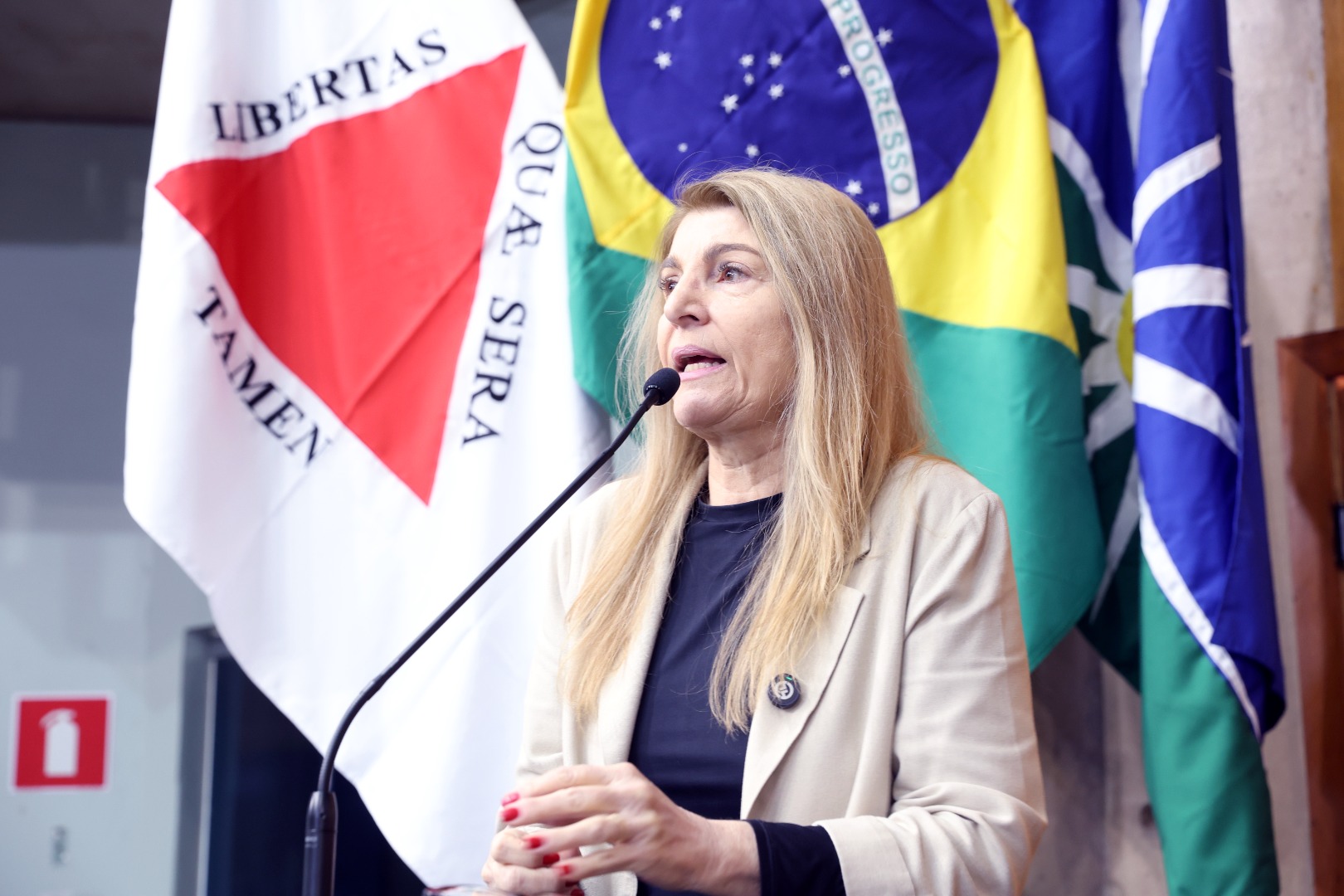 foto Aline Rezende 0044.JPG