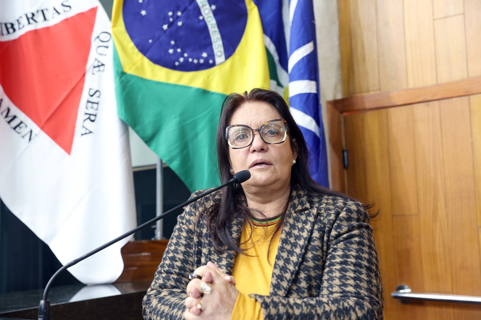 foto Aline Rezende 0003.JPG