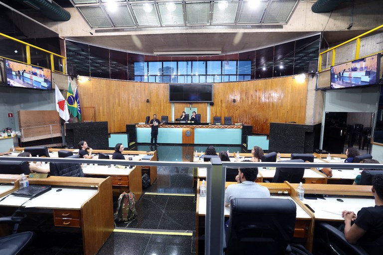 foto Aline Rezende 0001.JPG