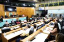  foto Aline Rezende 0011.JPG 