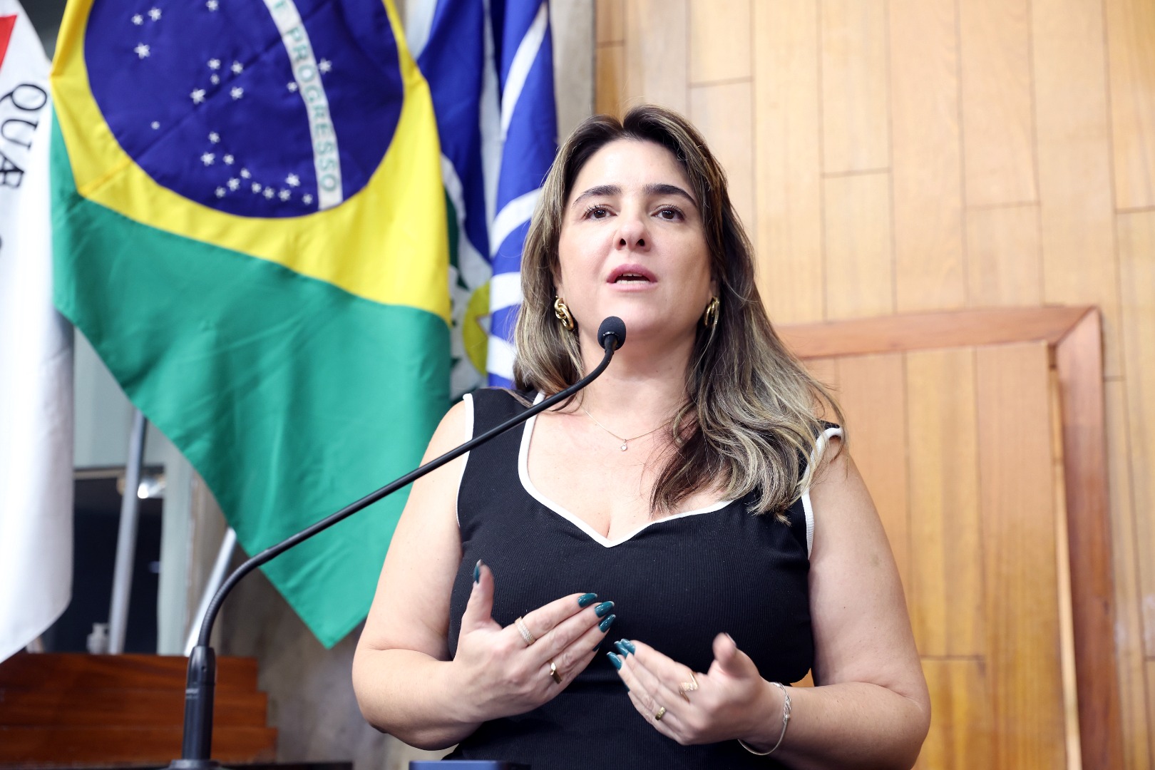 foto Aline Rezende 0034.JPG