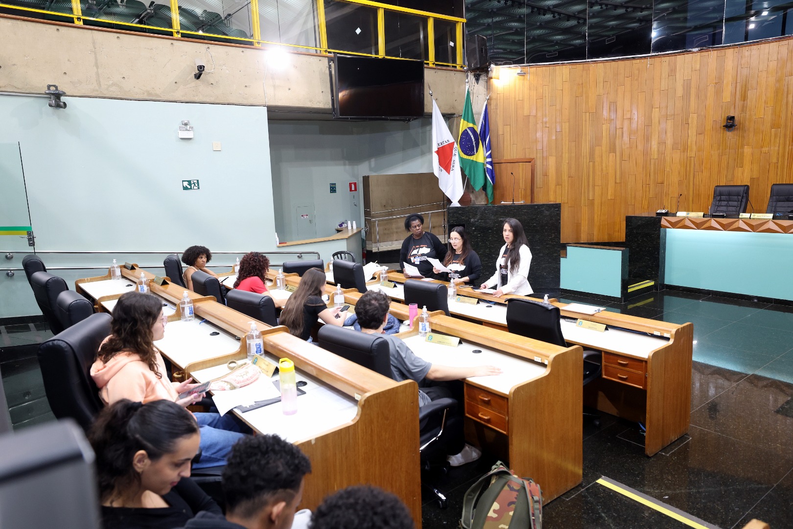 foto Aline Rezende 0006.JPG