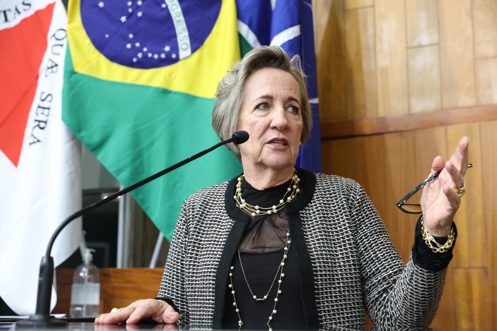 foto Aline Rezende 0018.JPG