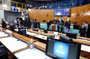  foto Aline Rezende 0001.JPG 