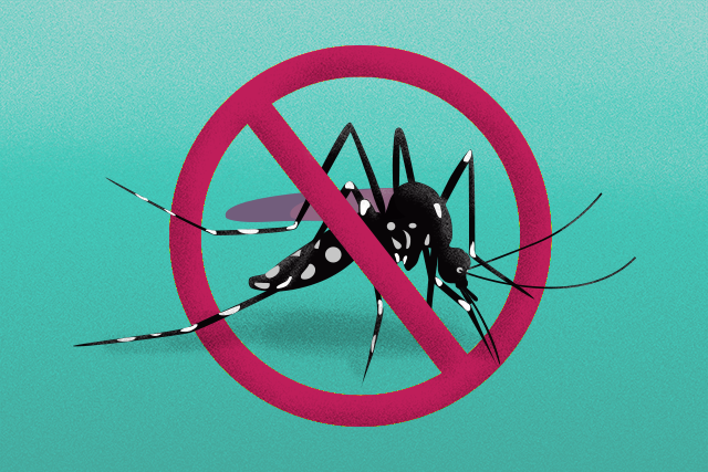 mosquito-aedes-aegypt-azul3.png